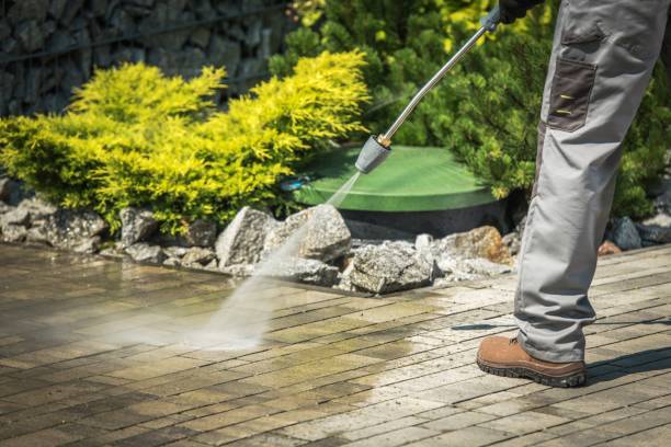 Best Pool Deck Cleaning  in Crockett, CA