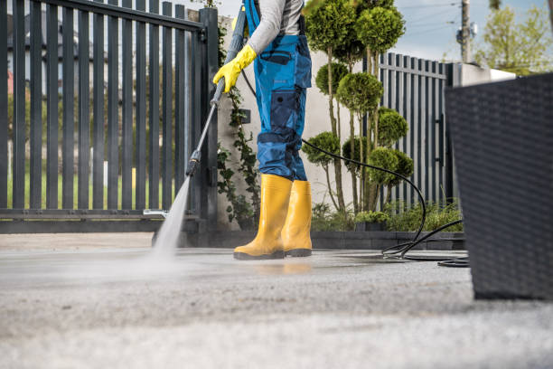 Best Soft Washing  in Crockett, CA